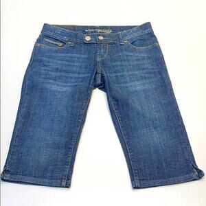 AMERICAN EAGLE ARTIST Womens 2 Blue Jean Shorts
